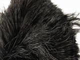 1/2 Lb - 12-16" Black Ostrich Tail Wholesale Fancy Feathers (Bulk)