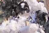 2 Pieces - 29-35" White X-Large Ostrich Wing Plumes Centerpiece Feathers
