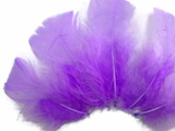 1/4 Lb - Lavender Turkey T-Base Wholesale Body Plumage Feathers (Bulk)