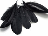 1/4 Lb - Black Goose Nagoire Wholesale Feathers (Bulk)