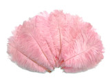 1/2 Lb. - 19-24" Light Pink Ostrich Extra Long Drab Wholesale Feathers (Bulk)