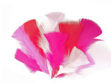 1/4 Lb - Candy Pink Turkey T-Base Wholesale Body Plumage Feathers (Bulk)