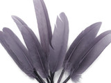 1 Pack - Silver Gray Dyed Duck Cochettes Loose Wing Quill Feather 0.30 Oz.