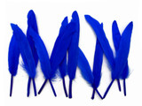 1/4 Lb. - Royal Blue Dyed Duck Cochettes Loose Wing Quill Wholesale Feather (Bulk)