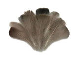 1 Pack - 2-3" Natural Brown Goose Coquille Loose Feathers - 0.35 Oz.