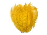 20 Pieces - Gold Mini Spads Ostrich Chick Body Feathers