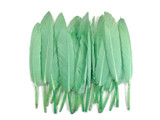1/4 Lb. - Aqua Green Dyed Duck Cochettes Loose Wing Quill Wholesale Feather (Bulk)