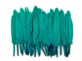 1/4 Lb. - Peacock Green Dyed Duck Cochettes Loose Wing Quill Wholesale Feather (Bulk)