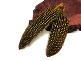 10 Pieces - Dyed Yellow Polka Dot Guinea Fowl Wing Quill Feathers