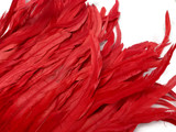 1 Yard - 10-12" Red Bleach & Dyed Coque Tails Long Feather Trim (Bulk)