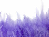 1 Yard - Lavender Rooster Neck Hackle Saddle Feather Wholesale Trim
