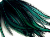 10 Pieces - Peacock Green Dyed BLW Laced Long Rooster Cape Whiting Farms Feathers