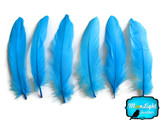 Turquoise Goose Satinettes Wholesale Loose Feathers (Bulk)