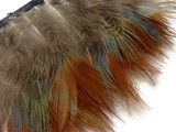 1 Yard - Yellow Ringneck Pheasant Plumage Feather Trim