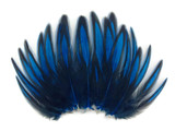 1 Dozen - Kingfisher Blue Whiting Farms BLW Laced Hen Cape Loose Feathers