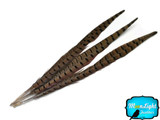 16-18" Natural Ringneck Pheasant Tail Wholesale Feathers (Bulk)
