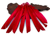 1/4 Lb - Red Turkey Pointers Primary Wing Quill Large Wholesale Feathers (Bulk)