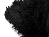 10 Pieces - 18-24" Black Large Prime Grade Ostrich Wing Plume Centerpiece Feathers