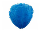 10 Pieces - 11-13" Turquoise Blue Bleached & Dyed Ostrich Drabs Body Feathers