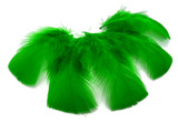 1 Pack - Kelly Green Dyed Turkey T-Base triangle Body Plumage Feathers 0.50 Oz.