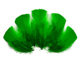 1 Pack - Kelly Green Dyed Turkey T-Base triangle Body Plumage Feathers 0.50 Oz.