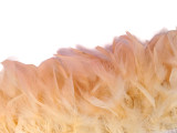 1 Yard – Champagne Chandelle Turkey Fluffy Feather Trim