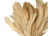 1/2 Yard -  8-10" Ivory Strung Natural Bleach Rooster Coque Tail Wholesale Feathers (Bulk)