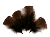 1/4 Lb - Coffee Brown Turkey T-Base Plumage Wholesale Feathers (Bulk)