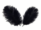 Wholesale Pack - Black Ostrich Small Confetti Feathers (Bulk)