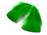 1/4 Lb - Kelly  Green Turkey T-Base Plumage Wholesale Feathers (Bulk)