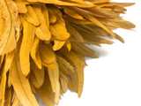 1/2 Yard - 8-10" Golden Yellow Strung Natural Bleach & Dyed Rooster Coque Tail Wholesale Feathers (Bulk)