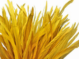 1/2 Yard - 8-10" Golden Yellow Strung Natural Bleach & Dyed Rooster Coque Tail Wholesale Feathers (Bulk)