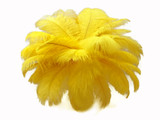 10 Pieces - 14-17" Yellow Ostrich Dyed Drab Body Feathers