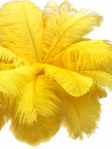 10 Pieces - 14-17" Yellow Ostrich Dyed Drab Body Feathers