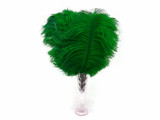 10 Pieces - 14-17" Kelly Green Ostrich Dyed Drab Body Feathers