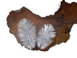 Wholesale Pack - Silver Gray Ostrich Small Confetti Feathers (Bulk)