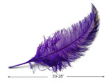 10 Pieces - 20-28" Purple Ostrich Spads Large Wing Feathers