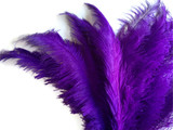 1/2 Lb - Purple Large Ostrich Spads Wholesale Feathers 20-28" (Bulk)