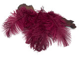 1/2 Lb - 12-16" Burgundy Ostrich Tail Wholesale Fancy Feathers (Bulk)