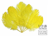 1/2 Lb - 12-16" Yellow Ostrich Tail Wholesale Fancy Feathers (Bulk)