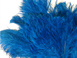 10 Pieces -  12-16" Turquoise Blue Dyed Ostrich Tail Fancy Feathers