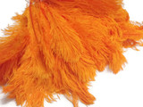 10 Pieces -  12-16" Orange Dyed Ostrich Tail Fancy Feathers