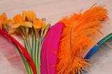 10 Pieces -  12-16" Orange Dyed Ostrich Tail Fancy Feathers