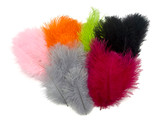 Wholesale Pack - Claret Ostrich Small Confetti Feathers (Bulk)