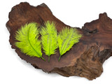 Wholesale Pack - Lime Green Ostrich Small Confetti Feathers (Bulk)