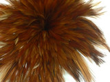 Brown and red sturdy craft feathers