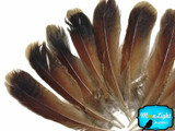 Natural Red Black Partridge Wing Feathers