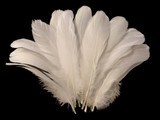 1 Pack - Ivory Goose Nagoire Loose Feather - 0.25 Oz.