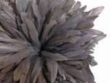 Gray strip of fluffy long rooster feathers