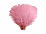 10 Pieces -  12-16" Light Pink Dyed Ostrich Tail Fancy Feathers